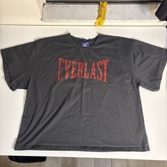 Coney Island Picnic x Everlast Faded Gray Cropped Boxy Graphic T-Shirt Mens 2XL