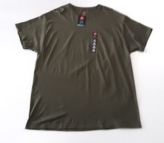 Hanes Mens Ultimate X-Temp T-Shirt Size XL Crew Neck Short Sleeve Heather Green