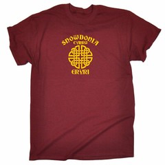 Snowdonia T-Shirt – Hiking, Mountain, Eryri Souvenir, Various Colours