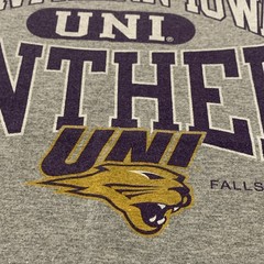 Jerzees Heavyweight Blend UNI Panthers Graphic Logo T-Shirt Men’s M Gray