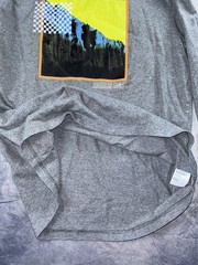 American Eagle Shirt Men’s Large Standard Fit Long Sleeve Gray Mountain Graphic