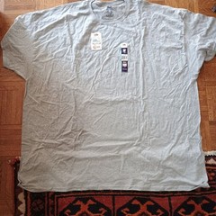 Fruit of the Loom Dual Defense Men’s Short Sleeve Tees in Gray and Red 4XL