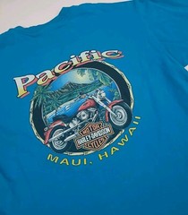 Vintage 90s Harley Davidson Pacific Paradise Maui Hawaii T Shirt Eagle Rare USA