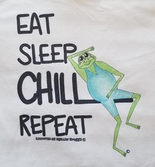 Eat Sleep Chill Repeat by CHILLIN’ FROGGY DryBlend T-Shirt New Size S M L XL