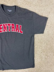 Champion Casual Basic T-Shirt Mens XL Crew Neck Central Spell Out Graphic Gray