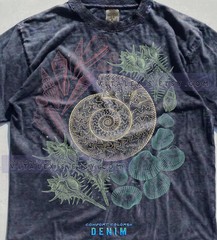 Vintage Seashell Ammonite Marine Life Comfort Tee