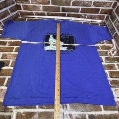 Vintage Alaska Nenana River Whitewater Denali National Park 90s Blue XL Healy