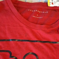 Aéropostale Men’s Single Stitch Pacific Northwest Nature Graphic Tee Size L