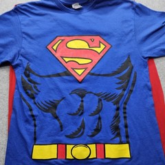 Delta Pro Weight Men’s Large Blue Superman Suit T-Shirt
