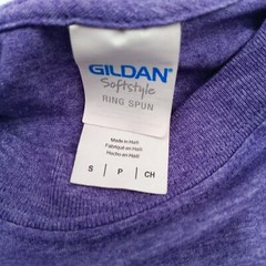 Gildan T Shirt Mens Small Purple I Climbed Quandary Peak Graphic Tee