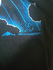 Vintage 1992 Blackbird B-2 Stealth Bomber T-Shirt Men’s Medium Black Air Force