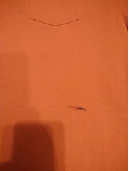 VTG Northern California Renaissance Faire Training Academy Pocket T Men’s XL 🔥