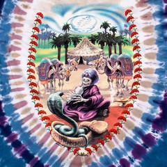 [Limited Edition] Vintage Grateful Dead Carpet Ride Tie-Dye T-Shirt Liquid Blue