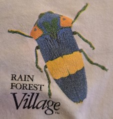 Vtg 90s Rainforest T Shirt M Jewel Beetle Single Stitch Unisex Double Sided