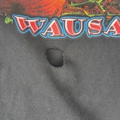 Harley Davidson Wausau Wisconsin Annual Fall Ride T Shirt L As Pictured Hole!!
