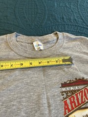 2017 Arizona bike rally T-shirt, Gray, SUNA, Large