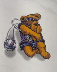Grateful Dead Bears Volleyball T-Shirt M Medium Vintage 1997 Joe Blow T’S Delta