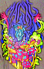 ALAB Magic Wizard Mushroom Psychedelic Men’s Graphic T-Shirt Size Medium