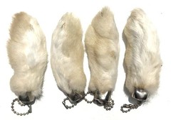 Rabbit Rabbits Foot Keychain Natural Snow White 4 Pcs