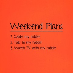 Weekend Plan With My Rabbit – Mens T-Shirt – Love Cute Funny Rabbits Dutch Pet