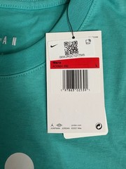 Nike Air Jordan Men’s Sea Green T-Shirt Jumpman Logo Sz Large NEW AO0664-392