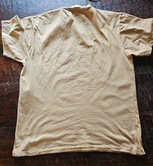 Gucci Beige T-Shirt with Logo Excellent Condition Size M Genuine See PHOTOS!