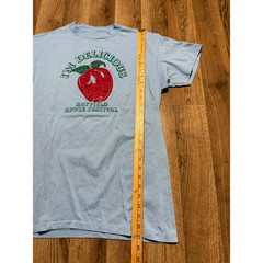 Mens Shirt Men’s Medium? Red Blue Green I’m Delicious Bayfield Apple Festival