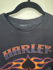 Harley Davidson Long Sleeve Shirt Mens Large New Orleans Louisiana Eagle Flame
