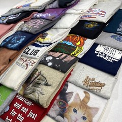 Wholesale Lot of 30 Modern/Vintage Mix Short Sleeve Tee Shirts (Sizes In Desc)