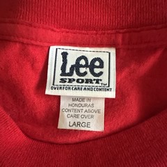 Vintage Tampa Bay Buccaneers NFL T-Shirt Men’s Large Red Lee Sport Y2K Cotton