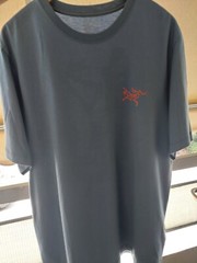 Arc’teryx Men’s Arc’Multi Bird Logo T-Shirt – Stone Wash (size XL)