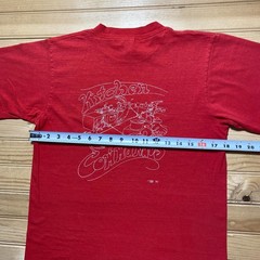 Vintage 1990 Clearwater’s Great Hudson River Revival Graphic T-Shirt USA Medium
