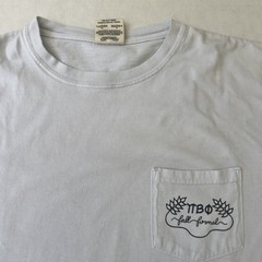 Official Pi Beta Phi Sorority Fall Formal VW Van Beach Sunset Shirt Medium Vtg.