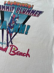 Vintage 90s Disney Blizzard Beach I Survived Summit Plummet White T-shirt