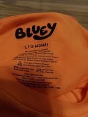 Halloween Bluey Bingo Vampire Orange T Shirt Size Large (42-44) Nwt