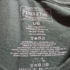 Pendleton Mens Off Road Trails Graphic Green Graphic Short Sleeve T Shirt Large