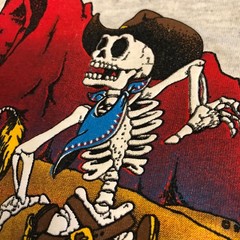 vtg Arizona Skeleton Cowboy/Horse T Shirt Sportex M 90s Southwest Graphic Tee