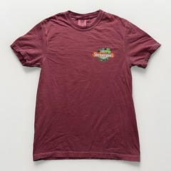 Comfort Colors T-Shirt Mens S Red Irish Shenanigans Pub Ocean City Graphic Tee