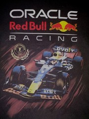 Hollister x Oracle Small Red Bull Racing Heavyweight Boxy Fit Graphic T-Shirt
