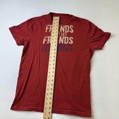 American Eagle Shirt Mens Medium Friends Don’t Let Friends Idolize Celebrities