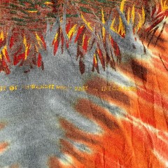 Suwannee Hulaween Shirt Mens Large Tie Dye Music Festival Creature of Galaxy