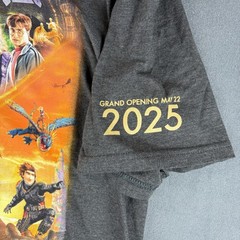 2025 Epic Universe Grand Opening Day T-Shirt Gray Size Large Free Shipping #62