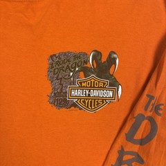 Harley Davidson I RODE THE DRAGON L Smoky Mtn Long Sleeve Y2K Orange Rare US129
