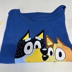 Mens T-Shirt Sz Medium. Bluey & Bingo