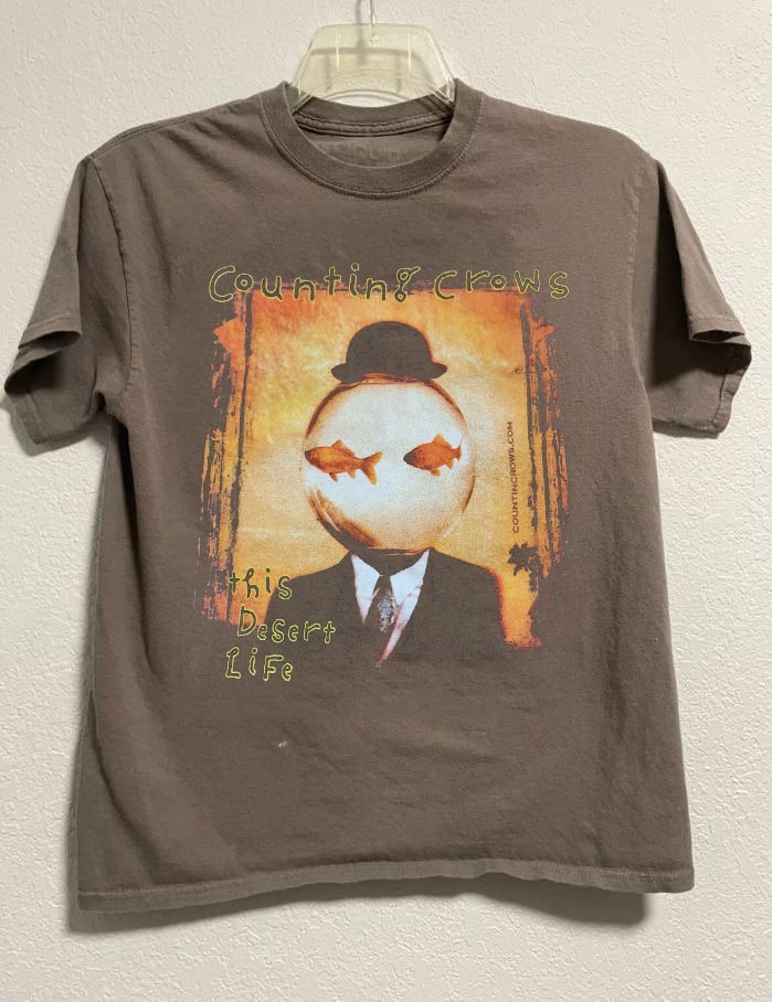 Vintage Counting Crows This Desert Life Brown t-shirt QT3828