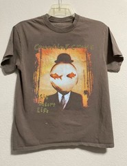 Vintage Counting Crows This Desert Life Brown t-shirt QT3828