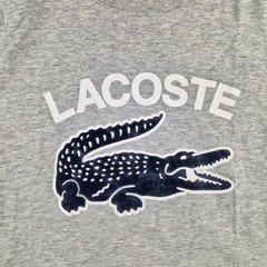 Lacoste Graphic Tee Mens Small Gray Regular Fit Crocodile 3D Streetwear Designer