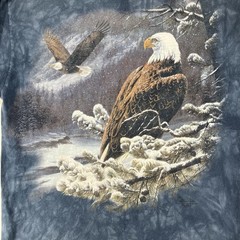 Nature Shirt Mens Large Bald Eagle Winter Scene Washed Blue The Mountain