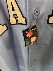 Vintage 90s Karl Kani endurance jersey Blue N Navy