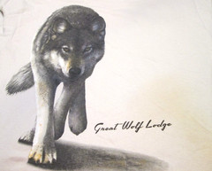 Great Wolf Lodge off-set Wolf Graphic T-shirt-NWT- Ice Gray-sz XL-SHORT SLEEVE